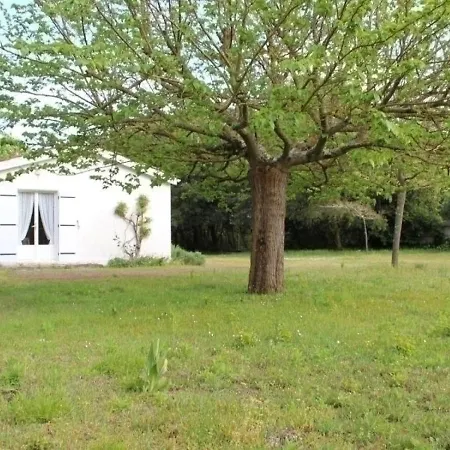 House Mais 3 Pieces 4 Couchages Pierre D'oleron Holiday home *